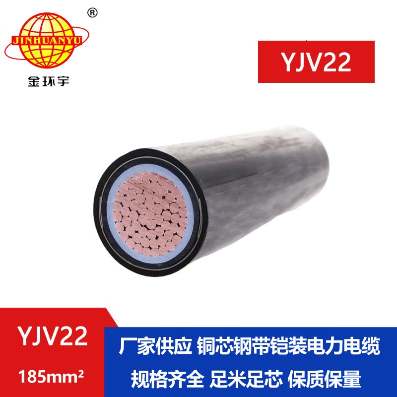 金環(huán)宇電線(xiàn)電纜 深圳鎧裝電纜廠 yjv22電纜 YJV22
